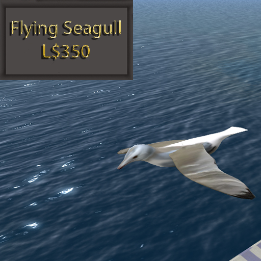 flying seagull by Illuminata