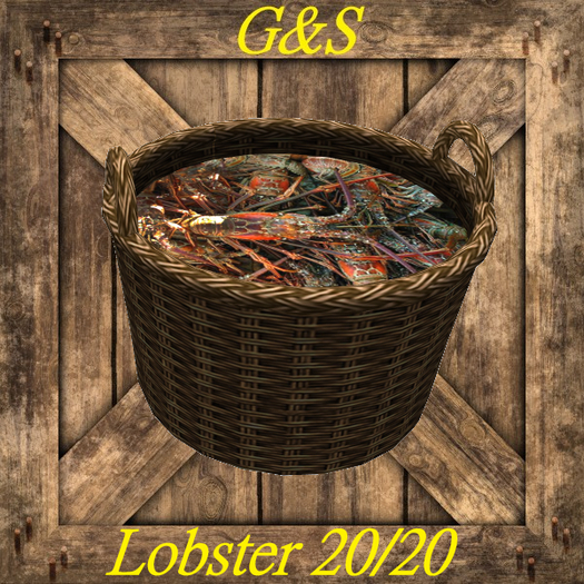 G&S_Lobster 20_texture