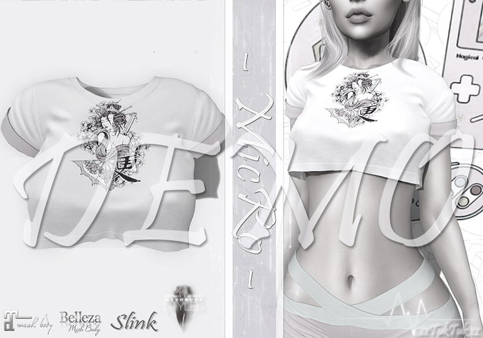 - MicRo-T-shirt Demo