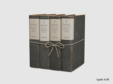 Apple Fall Books - Arrangement 11