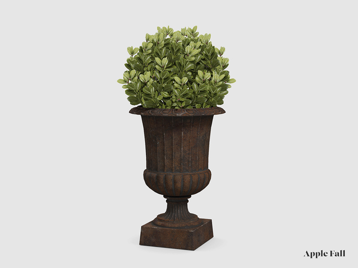 Apple Fall Boxwood Urn (Box)