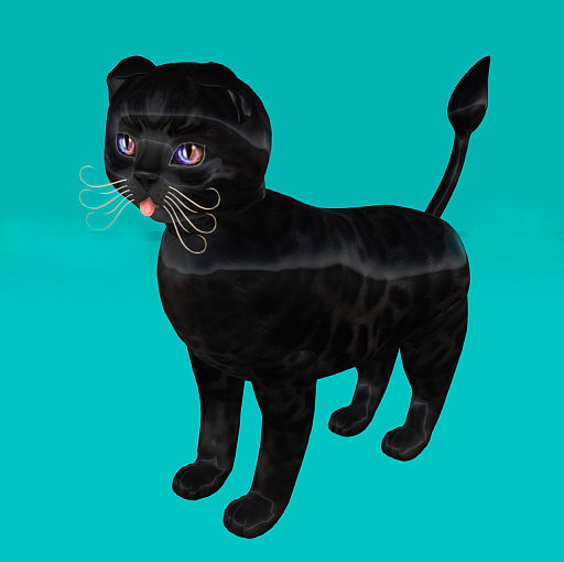 KittyCatS Box - New Born Kitten