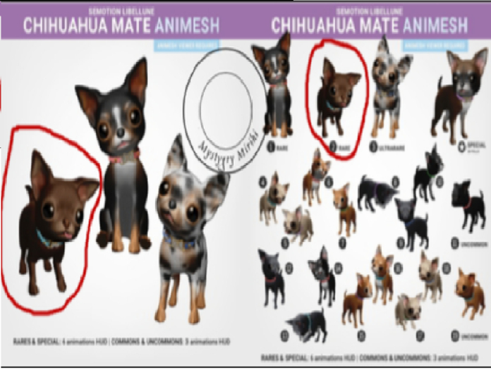 SEmotion Libellune Chihuahua Mate Chocolate #2 RARE