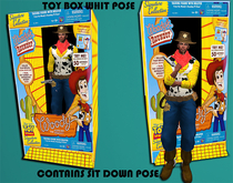 TOY BOX W00DY