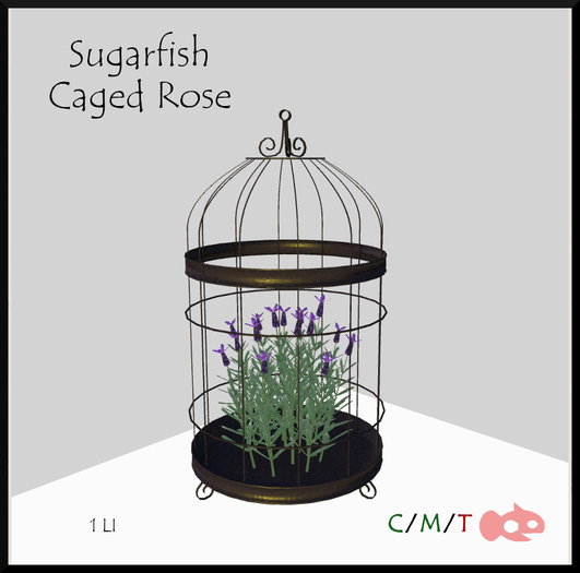 Sugarfish - Bridcage w/ Lavender