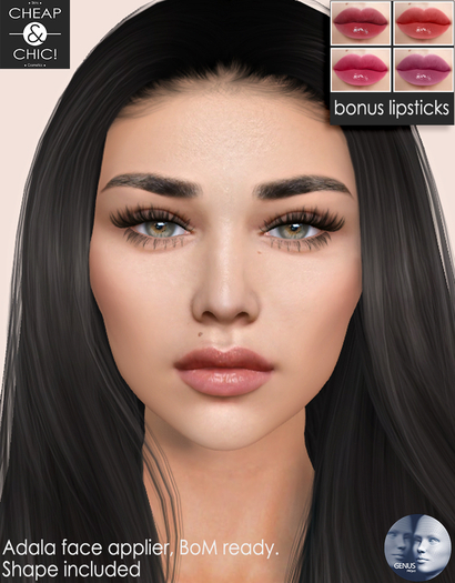 Cheap & Chic! Adala box T1 [Genus]
