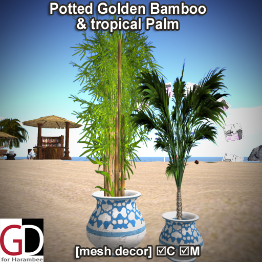 Potted Golden Bamboo & tropical Palm