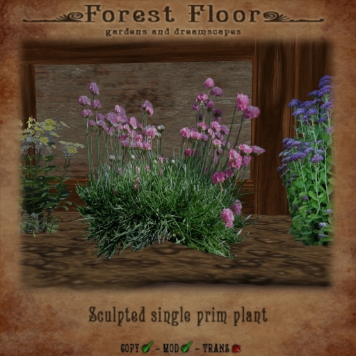 ~*Forest Floor*~ Chives