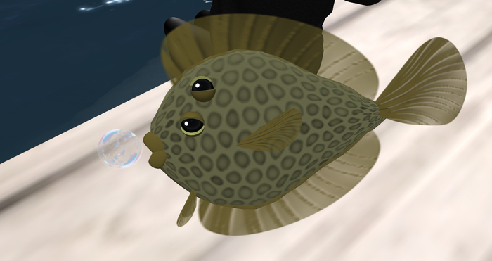 (7S) Common Fish: Yellow Flounder
