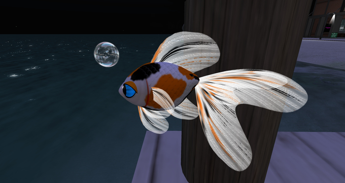 (7S) Uncommon Fish: Calico Goldfish