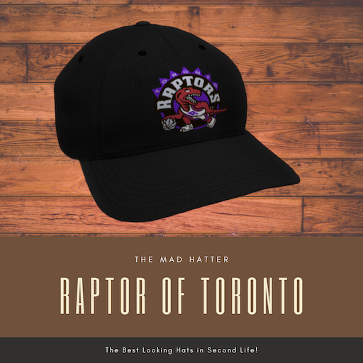 Boxed NBA Team Hat - Raptors - Black - C, M