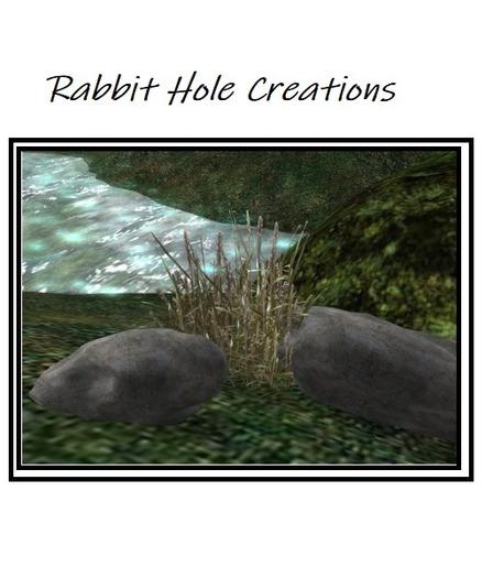 RHC  SOUND ROCK - LAKE WILDLIFE & POND WATER