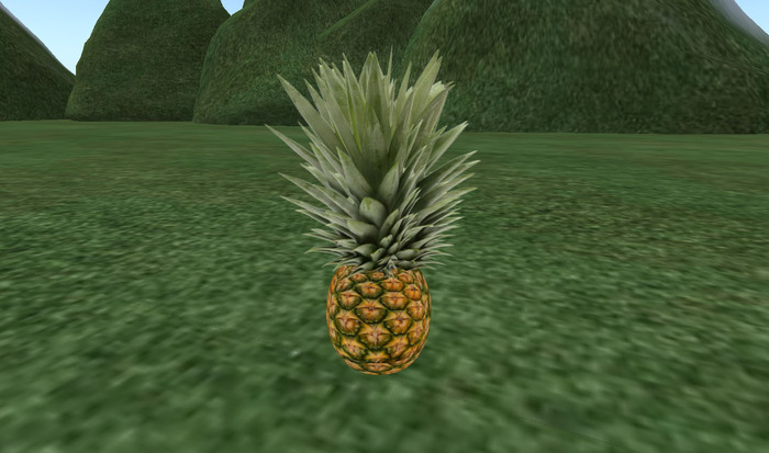 Pineapple Plant Box