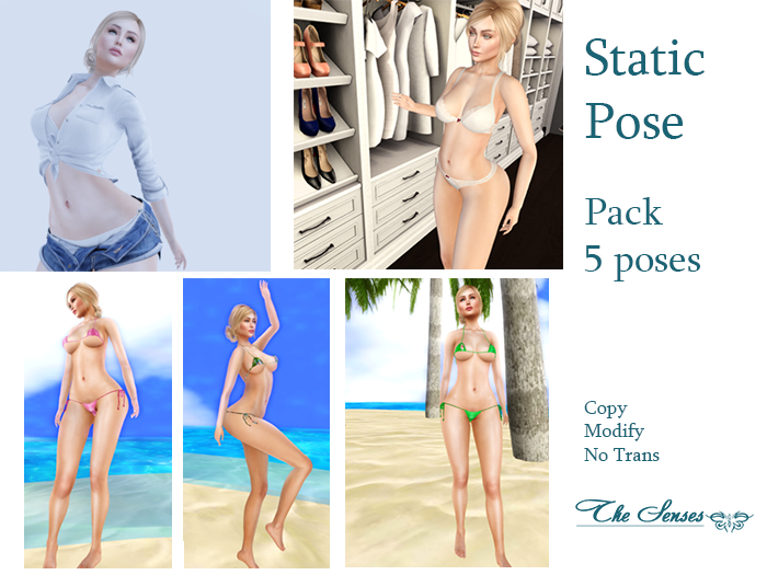 Box The Senses - Pack 5 Static Poses