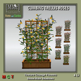 [MMc] Climbing Trellis Roses/Boxed