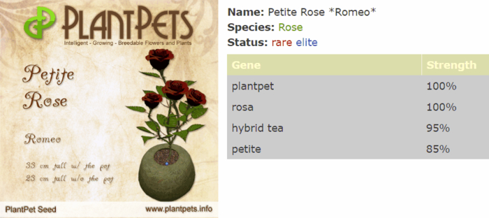 PlantPet Seed [Petite Rose *Romeo*]