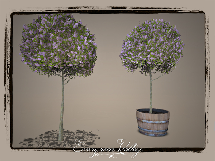 EV - Small Lilac Soft Pink