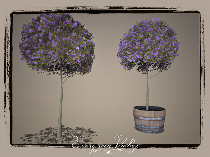 EV - Small Lilac Purple