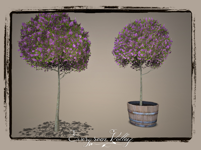 EV - Small Lilac Pink