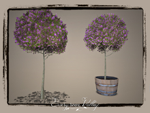 EV - Small Lilac Pink