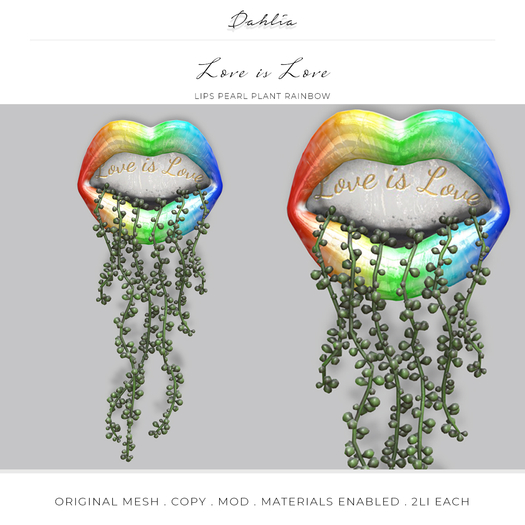 Dahlia - Love is Love - Lips Pearl Plant - Rainbow