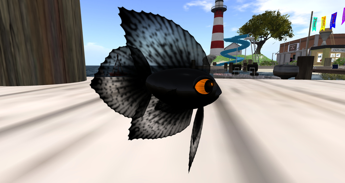 (7S) Common Fish: Black Betta