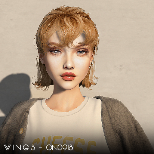 WINGS-HAIR-ON0918 Brown (Pack)
