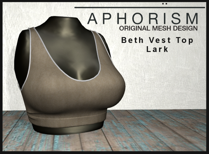 !APHORISM! - Beth Vest Top - Lark