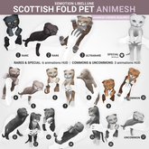 SEmotion Libellune Scottish Fold Pet Animesh #17 UNCOMMON