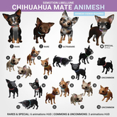 SEmotion Libellune Chihuahua Mate Animesh #19 UNCOMMON