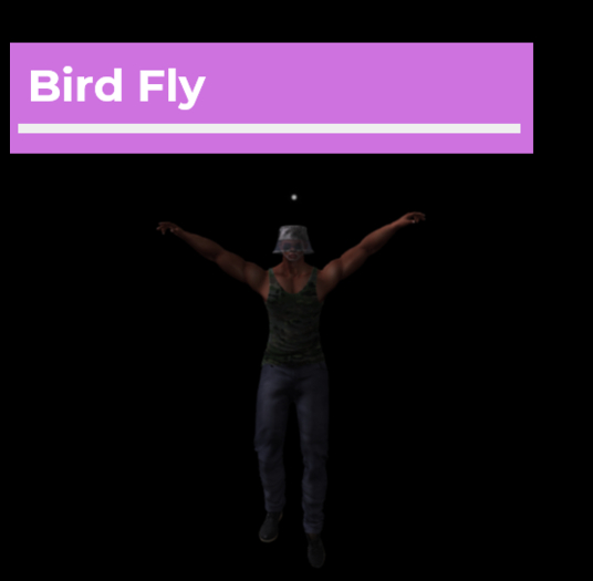 [Pose Ball] Bird Fly