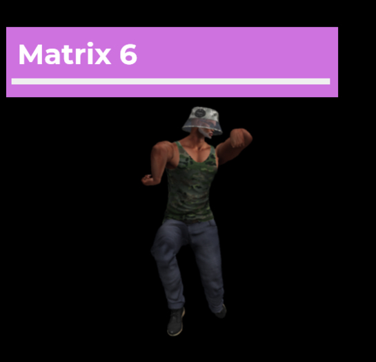 [Pose Ball] Matrix 6