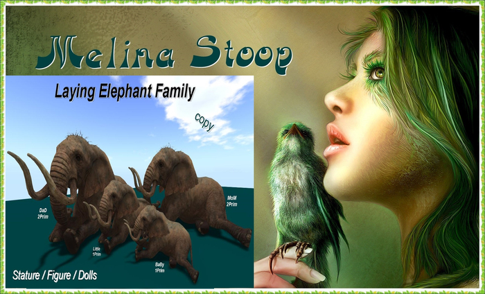 Elephant Family laying ( MP )
