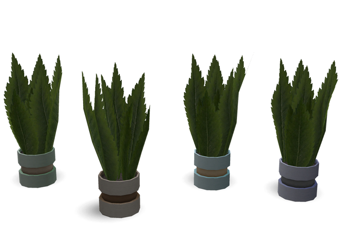 Plant Mesh v1 FULL PERM Mesh !