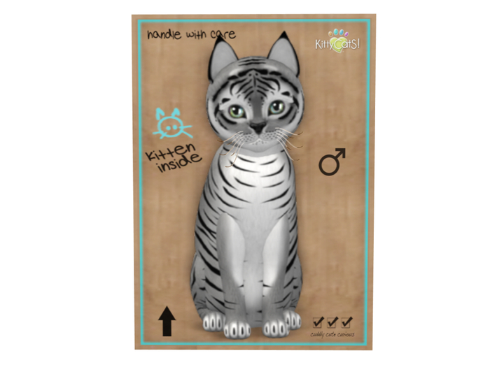 KittyCatS Box - 7 T - M - Tiger! - Shadow