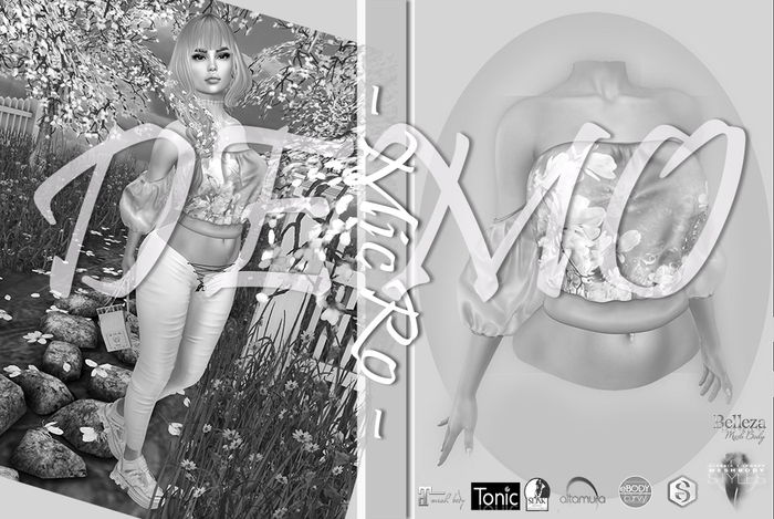 - MicRo - blouse Romantic - ( Demo)