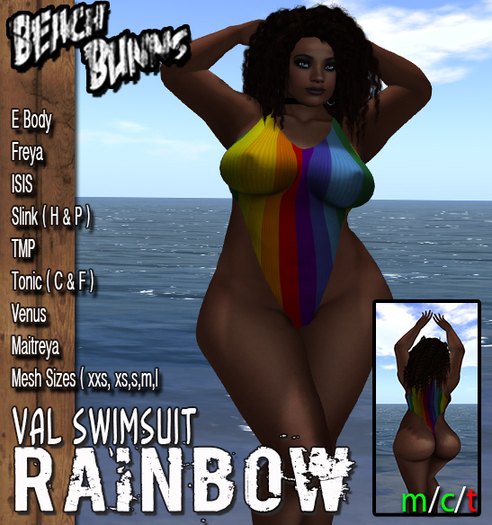 BB. Val Swimsuit (Rainbow)