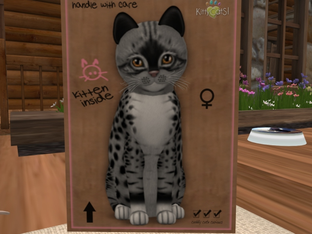 KittyCatS Box - Genesis Bandit ll