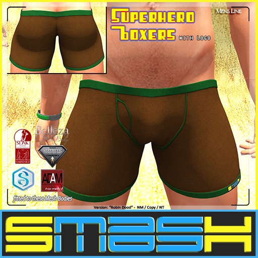 SMASH - Superhero Boxers (Robin Dood)