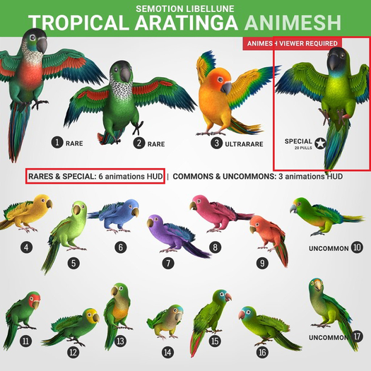 SEmotion Libellune Tropical Aratinga Animesh SPECIAL