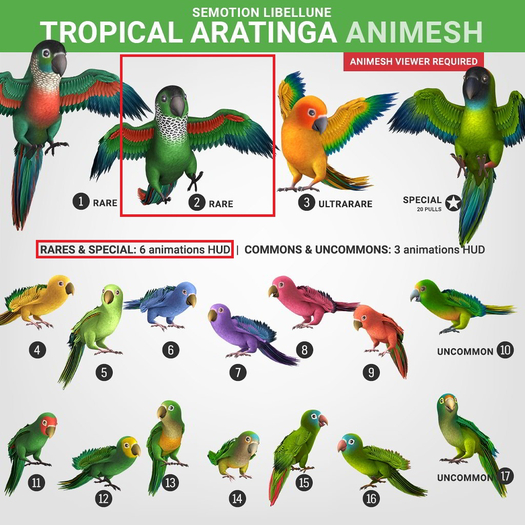 SEmotion Libellune Tropical Aratinga Animesh #2 RARE