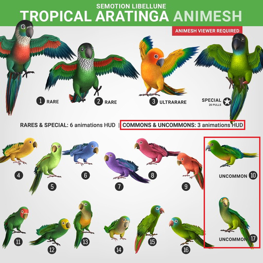 SEmotion Libellune Tropical Aratinga Animesh - Uncommon Set