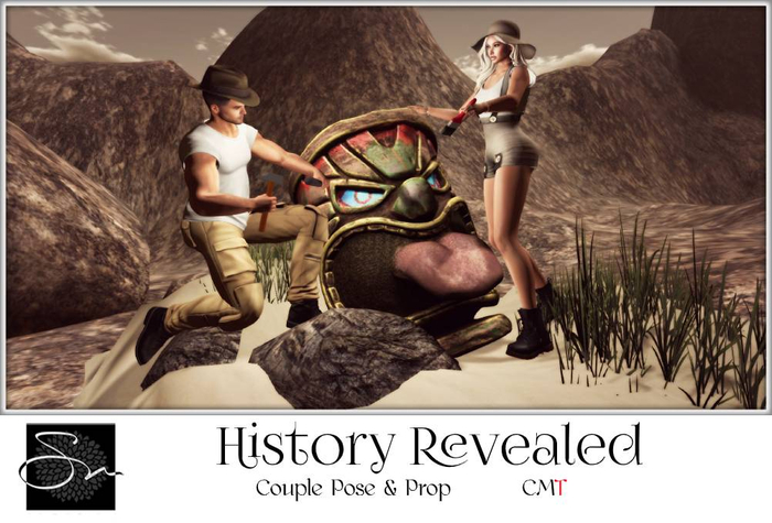 **SN~History Revealed