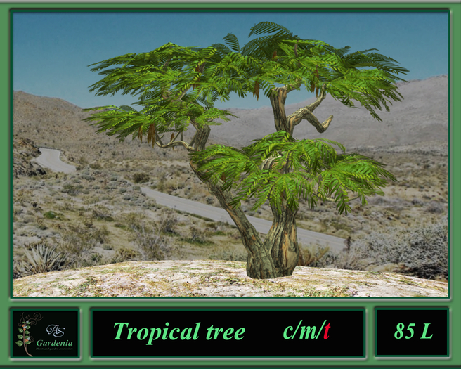 Tropical tree