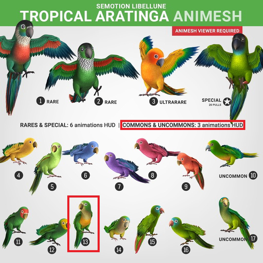 SEmotion Libellune Tropical Aratinga Animesh #13