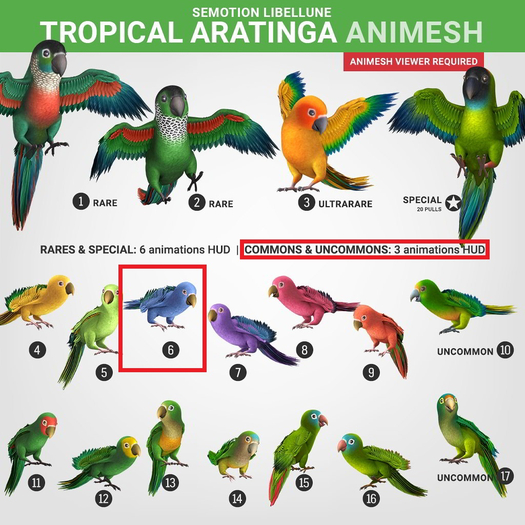 SEmotion Libellune Tropical Aratinga Animesh #6