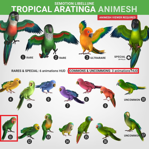 SEmotion Libellune Tropical Aratinga Animesh #11