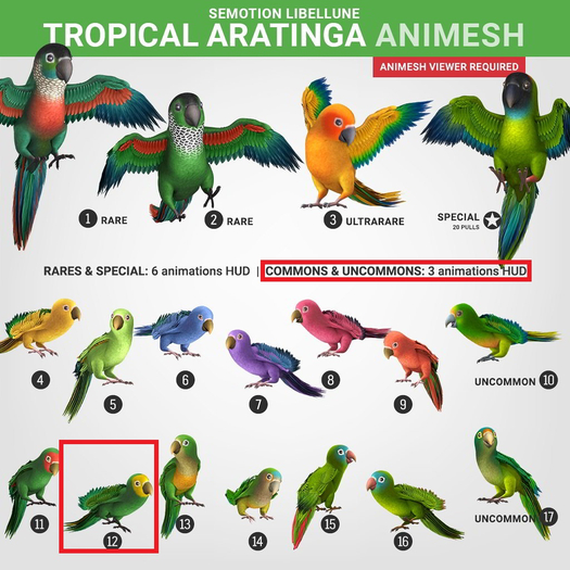 SEmotion Libellune Tropical Aratinga Animesh #12