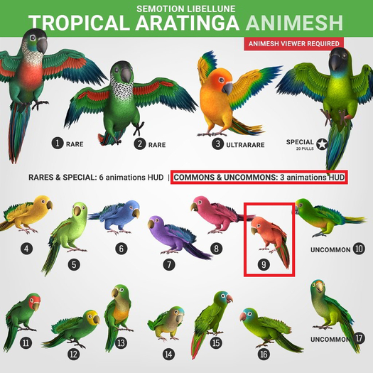 SEmotion Libellune Tropical Aratinga Animesh #9