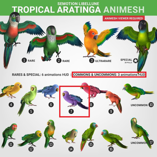SEmotion Libellune Tropical Aratinga Animesh #7